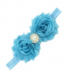  Attractive Sky Blue Headband for Toddlers in India with Two Flowers and a Pearl